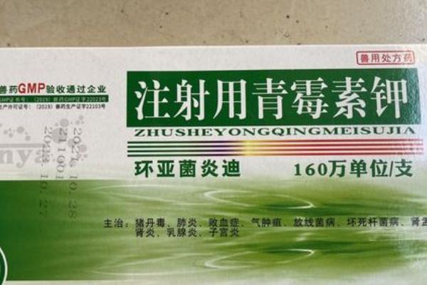 猪青霉素能和庆大霉素一起用吗,可以但需要分开注射