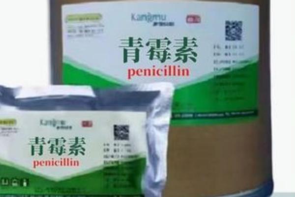 猪青霉素能和庆大霉素一起用吗,可以但需要分开注射