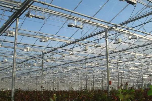 冬季蔬菜大棚补光方式，要及时对蔬菜整枝、打杈等