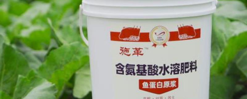 怎么使用水溶肥