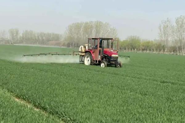 为何将食醋称作理想的叶面肥,原因是含有多种营养物质、可刺激植物的生长发育