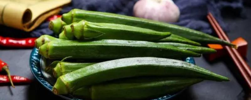 秋葵的种植方法