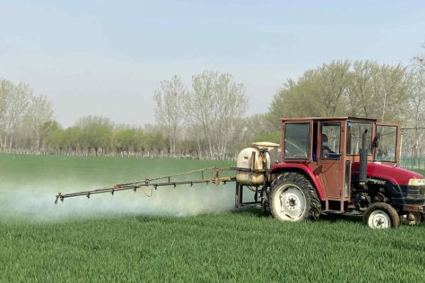 恶霉灵如何灌根，稀释后直接浇灌到作物根部