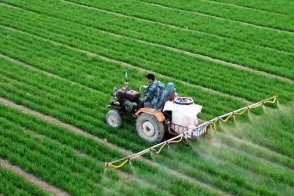 小麦追肥时间,多在冬前追施