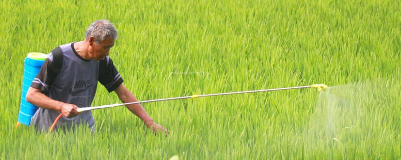 代森锰锌的作用