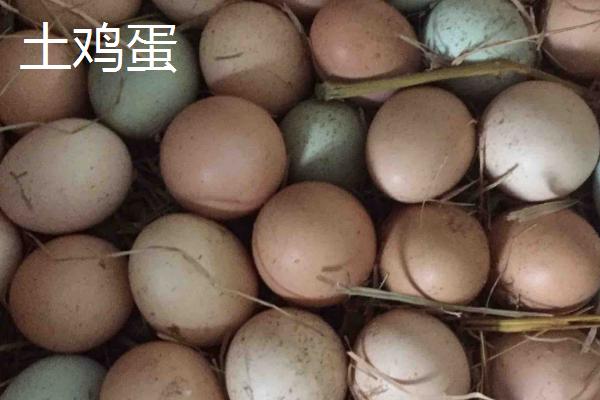 土鸡蛋和普通鸡蛋的区别,外观、蛋黄和口感均不同