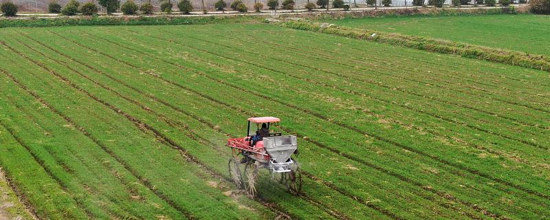 磷酸二氢钾的使用注意事项