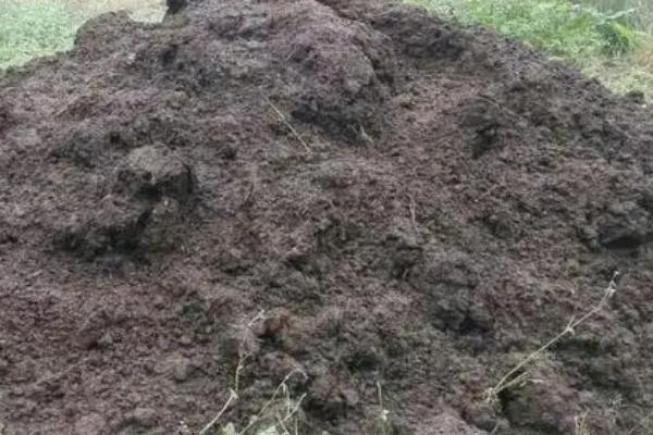 什么是农家肥,是指在农村收集、积制的有机肥料