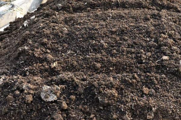 什么是农家肥,是指在农村收集、积制的有机肥料