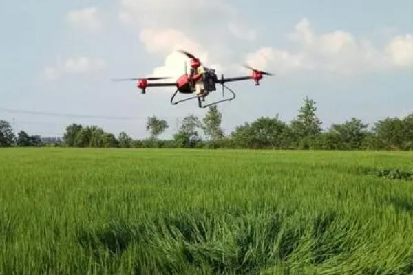 多效唑的使用方法,不同花卉和土质的喷施方法不同