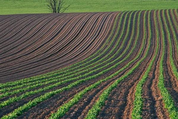 农业包括哪些行业，狭义的农业单指种植业