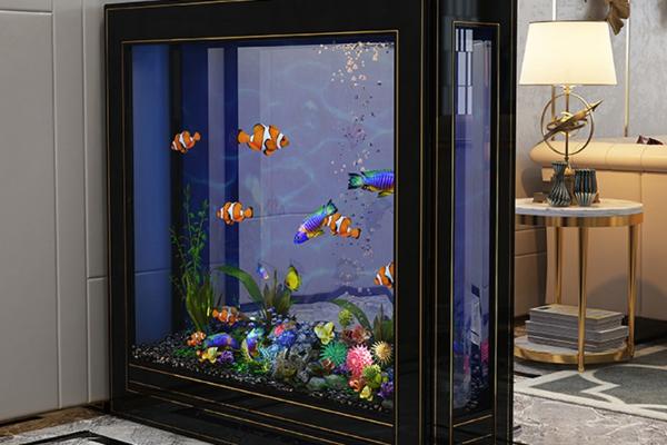 两米大鱼缸怎么换水,自来水提前晾晒让氯气挥发