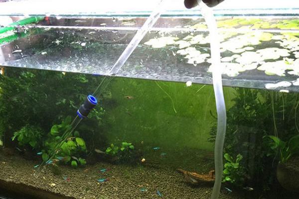 两米大鱼缸怎么换水,自来水提前晾晒让氯气挥发