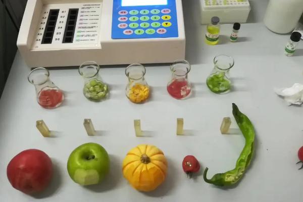 农药残留检测哪些成分,主要检测有机磷、氨基甲酸酯、拟除虫菊酯等成分