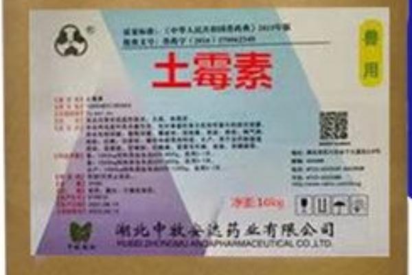 治疗猪附红体病用什么药，最有效的药物就是长效土霉素