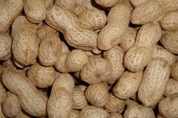 酸性土壤适合种植什么农作物，可以种花生、土豆、西瓜和蓝莓等