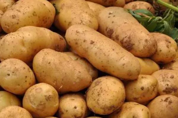 酸性土壤适合种植什么农作物，可以种花生、土豆、西瓜和蓝莓等