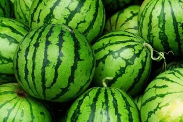 酸性土壤适合种植什么农作物，可以种花生、土豆、西瓜和蓝莓等