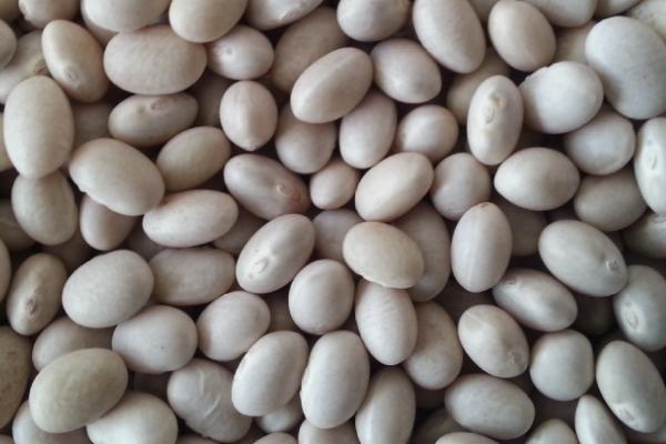 酸性土壤适合种植什么农作物，可以种花生、土豆、西瓜和蓝莓等