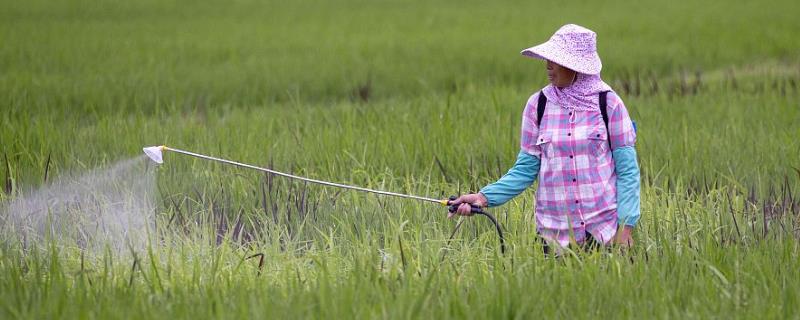 呋喃丹的防治对象