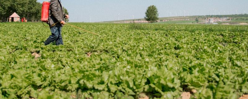 噻虫嗪的防治对象