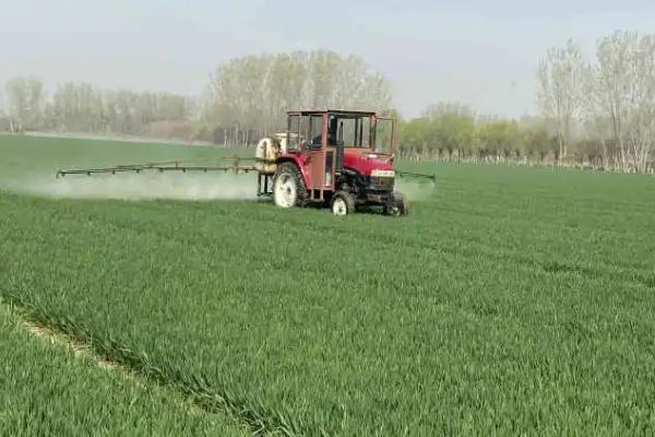 噻虫嗪的防治对象,防治蚜虫、飞虱、叶蝉和粉虱等效果好