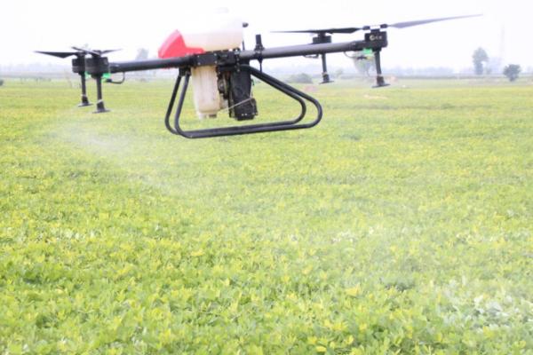 噻虫嗪的防治对象,防治蚜虫、飞虱、叶蝉和粉虱等效果好