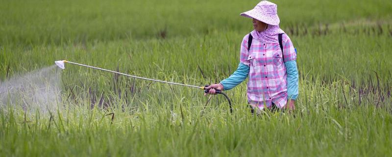 10克恶霉灵的兑水量