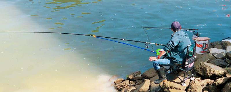 晚上能钓鲮鱼吗