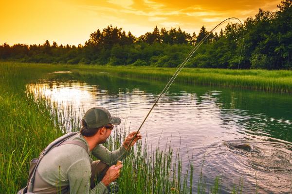 晚上能钓鲮鱼吗,晚上可以钓鲮鱼且效果较好