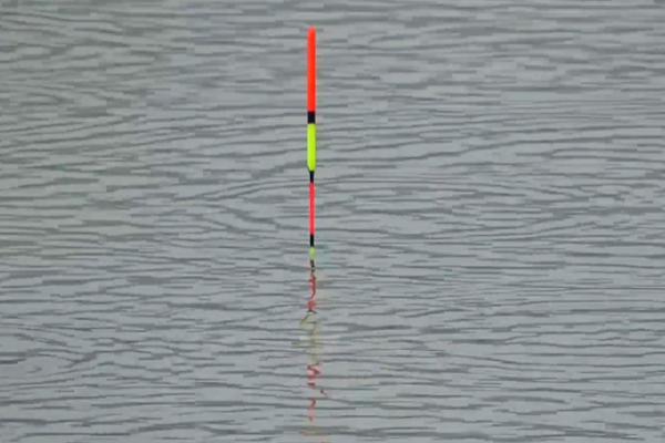 晚上能钓鲮鱼吗,晚上可以钓鲮鱼且效果较好