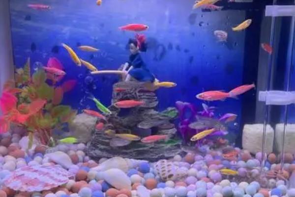 鱼缺氧如何急救，用充氧泵打氧可快速救治
