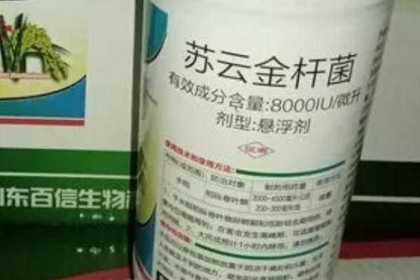 苏云金杆菌可以防治什么虫子,可有效防治菜青虫、小菜蛾、甜菜夜蛾等