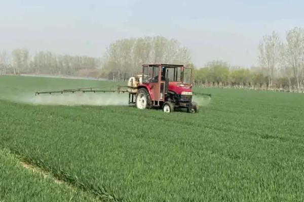 苏云金杆菌可以防治什么虫子,可有效防治菜青虫、小菜蛾、甜菜夜蛾等