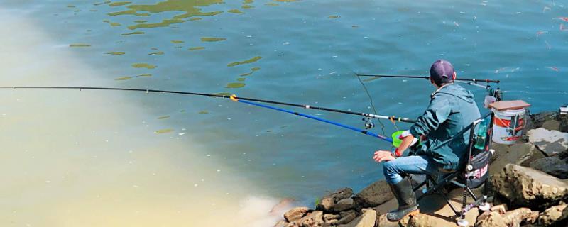 干玉米怎么做窝料