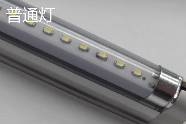 鱼缸养鱼是否要开灯，开灯可以帮助鱼儿发色、增加观赏性