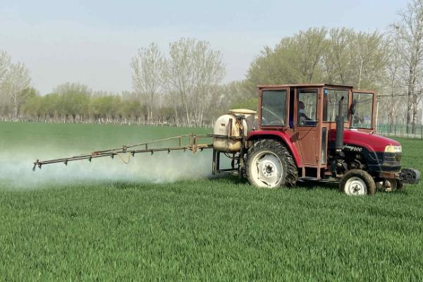 呋喃丹如何根施，可撒在地面然后翻入土中