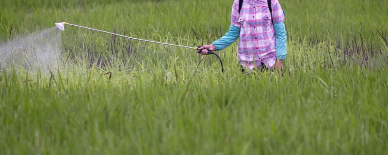 甲维盐可以防治蚜虫吗