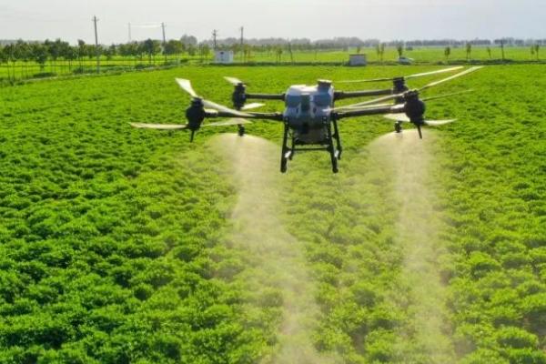 甲维盐可以防治蚜虫吗,可以有效防治蚜虫