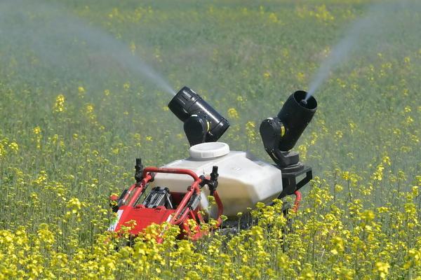 油菜移栽后用什么除草剂，不同生长期所用除草剂不同