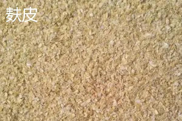 麸皮是什么，就是小麦的外皮