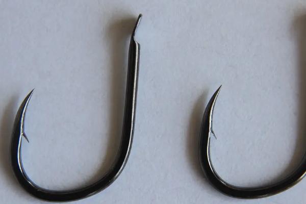 手竿钓鲢鳙用什么钩，伊势尼钩的使用频率最高