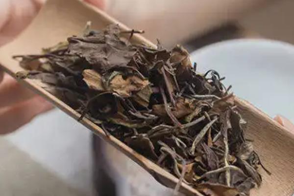 老白茶属于发酵茶吗，是微发酵茶