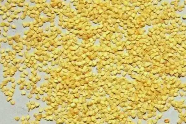 辣椒种子播前处理技术，播前一定要晒种