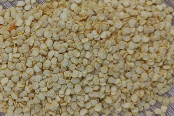 辣椒种子播前处理技术，播前一定要晒种