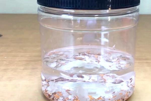 鸡蛋壳如何做肥料,可直接使用或发酵使用