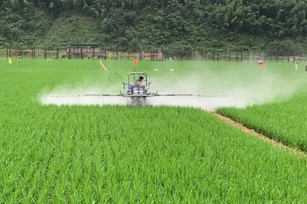 影响一季稻生长发育和产量的因素，主要包括光照、温度及水分等因素