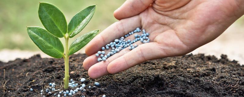 配方施肥有什么特色