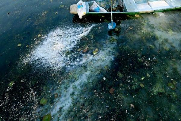 在水产养殖中钙镁钾有何作用,可提高水产动物的成活率、维持渗透压