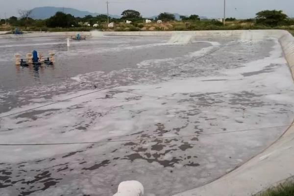 在水产养殖中钙镁钾有何作用,可提高水产动物的成活率、维持渗透压